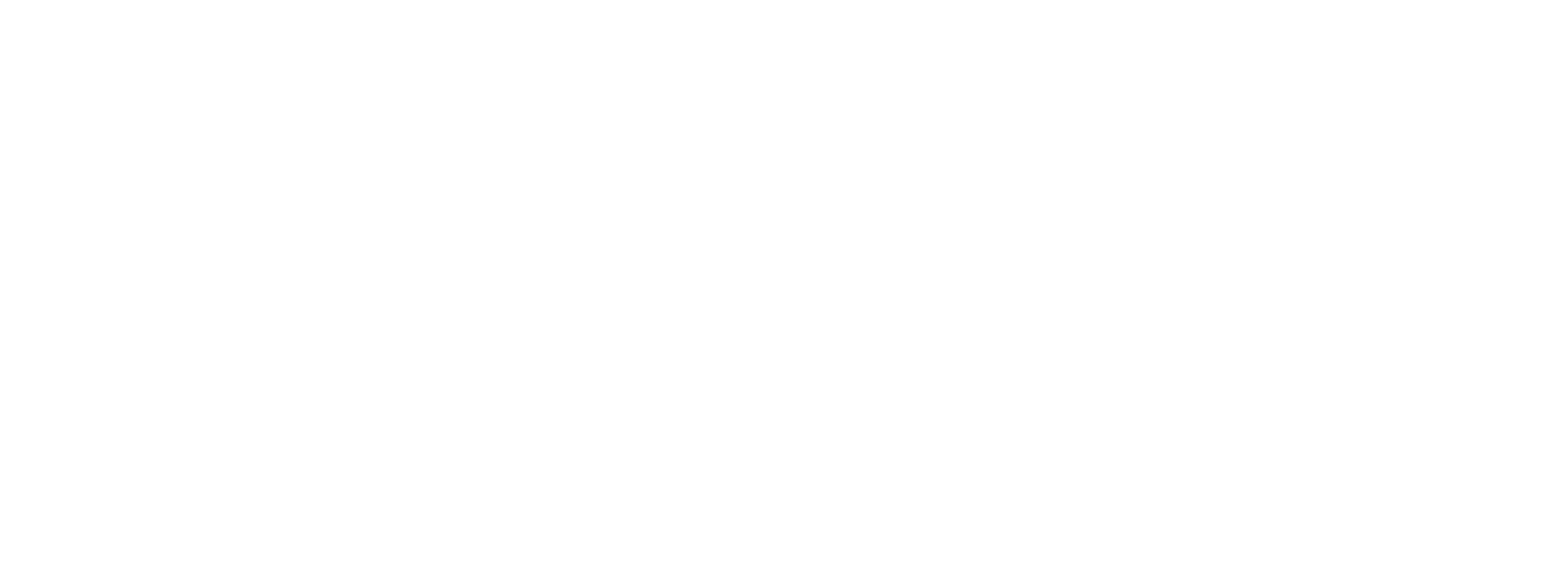 5. Logo horizontal avec baseline blanc (1)